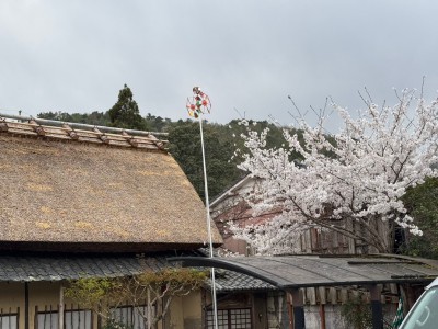 東京文化教育考察団 風景2